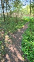 Justfunfranko webcam model stream image