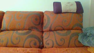 SibilineMonkey webcam model stream image