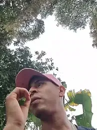 Juann-cock webcam model stream image