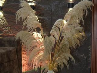 Alegra Brown webcam flirt4free model stream image