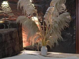 Alegra Brown webcam flirt4free model stream image