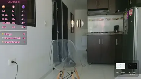 grey___27 webcam model stream image