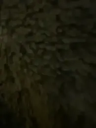 anonimgirl18old webcam stripchat model stream image