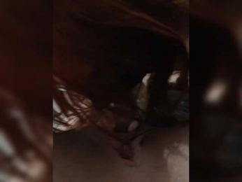 Artem-sexi1 webcam model stream image