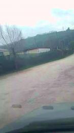 Danyblack1985 webcam cam4 model stream image