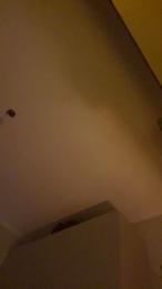 Plsmecha webcam model stream image