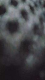 Chia562002 webcam cam4 model stream image