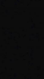 RiBelliPorcelli webcam model stream image