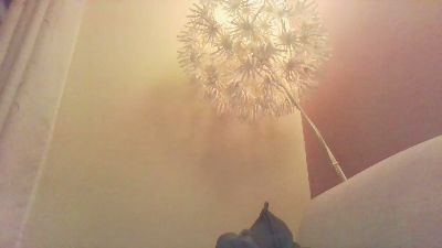 wieauch webcam cam4 model stream image