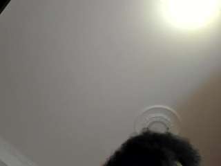 apotheosiss webcam model stream image