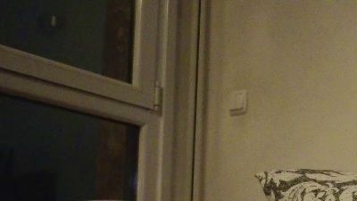 Donostipar webcam model stream image