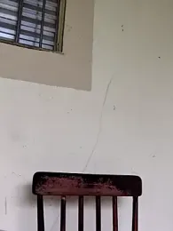 Peludo173317 webcam model stream image