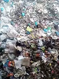 rocky_play_boy_ webcam model stream image