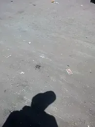 rocky_play_boy_ webcam model stream image