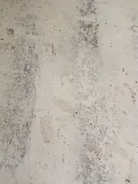 Yash_Sharma18 webcam model stream image