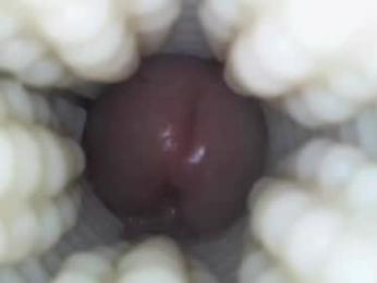 xoxowtf webcam model stream image