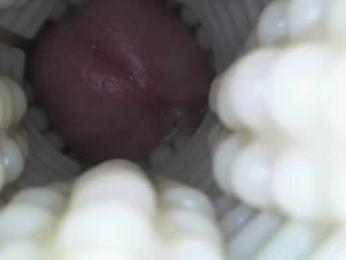 xoxowtf webcam model stream image