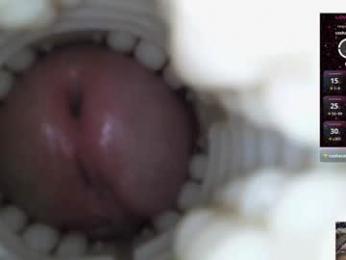 xoxowtf webcam chaturbate model stream image