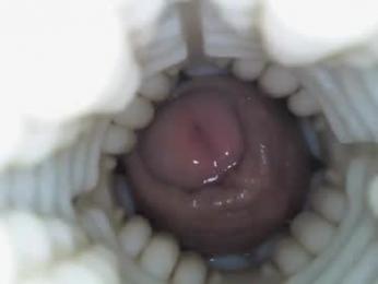 xoxowtf webcam model stream image