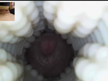 xoxowtf webcam model stream image