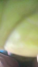 Tonypole83 webcam model stream image