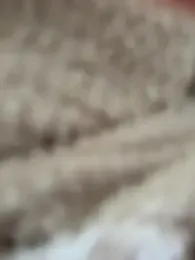 Lm0600 webcam model stream image