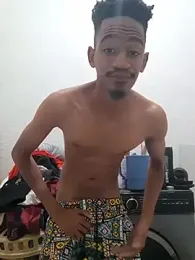 gemini_loops webcam model stream image