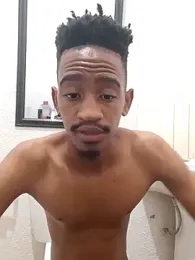 gemini_loops webcam model stream image