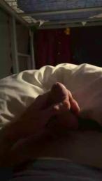 Animus1998 webcam cam4 model stream image