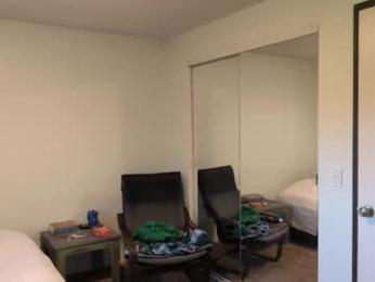 timberelove webcam chaturbate model stream image