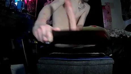 ATwinkie webcam model stream image