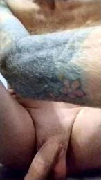 Lizard3 webcam model stream image