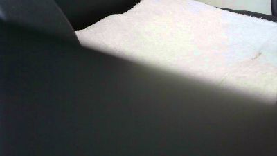 punt1 webcam cam4 model stream image