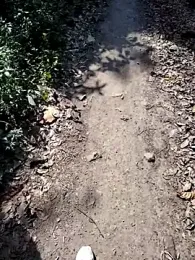 08uhj webcam model stream image