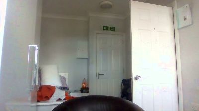 Florinraducanu webcam model stream image