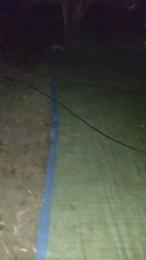 Petitebombe34 webcam model stream image