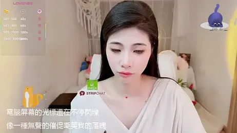 Vaidurya-Yolo webcam model stream image