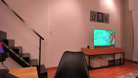 Mira_Lite webcam model stream image