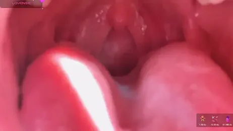 donghuangtaiyi--- webcam stripchat model stream image