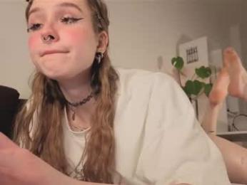 poli_blink webcam model stream image