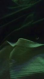 Poyon335 webcam model stream image