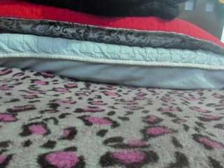 brendasmith-69 webcam camsoda model stream image