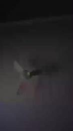 indionxvin777 webcam cam4 model stream image