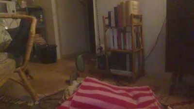 Elillolex webcam model stream image