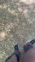 Viseu webcam model stream image