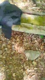 Etoile67moosa webcam model stream image