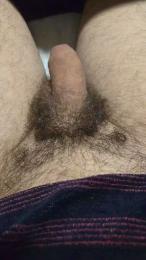 Pollonazo webcam model stream image