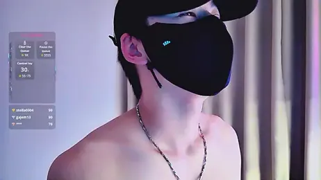 FEIYUS1 webcam model stream image