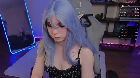 zelda_1 webcam model stream image