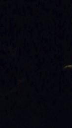 jhon030 webcam model stream image